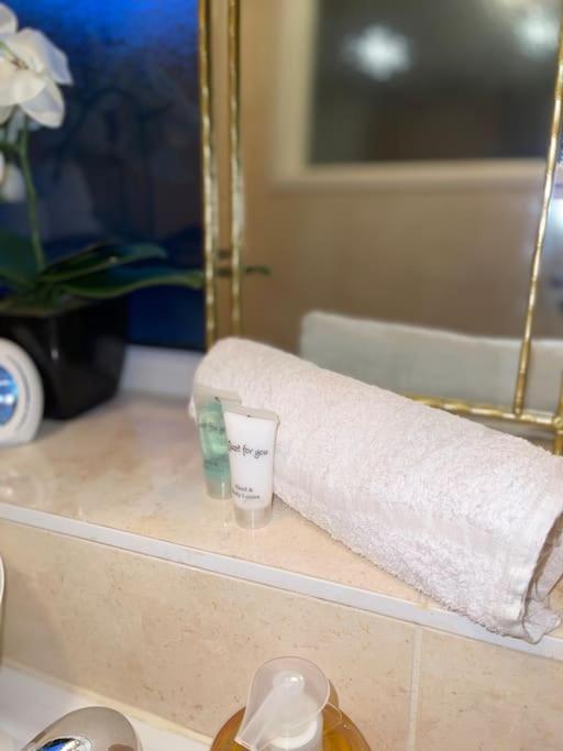 Stylish Cosy Studio Apartment Gravesend Dış mekan fotoğraf